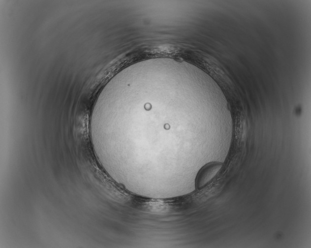 X0000116300425200912141340