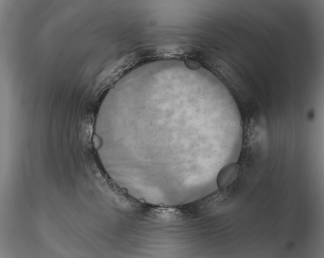 X0000116300427200912141339