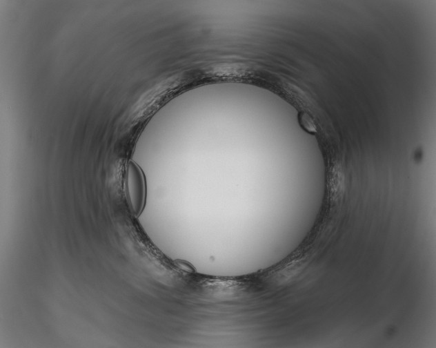 X0000116300428200912141339