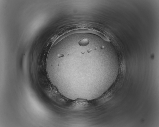 X0000116300429200912141339