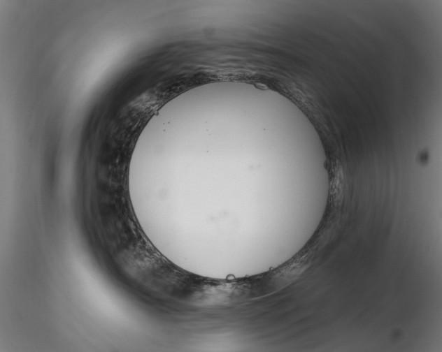 X0000116300430200912141339