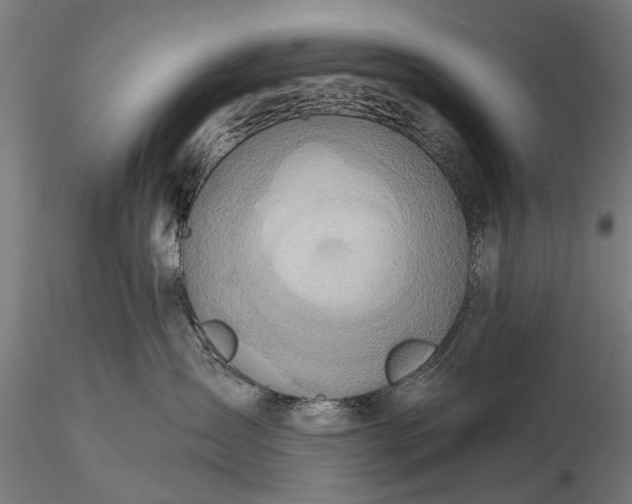 X0000116300431200912141339