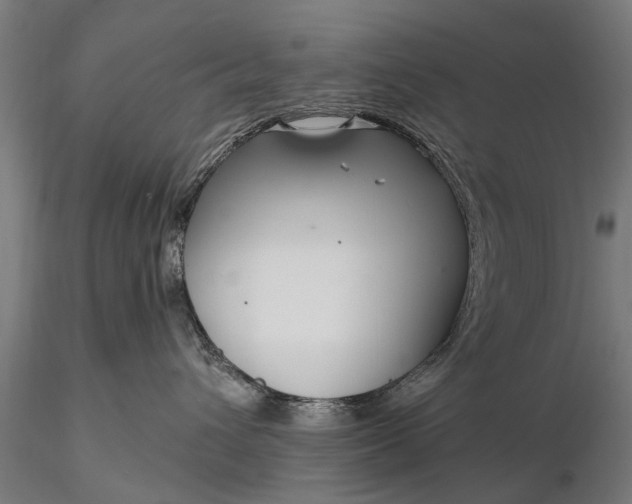 X0000116300432200912141339