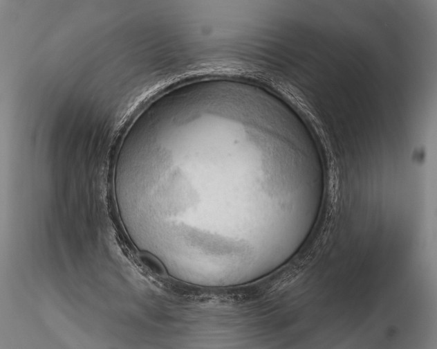 X0000116300434200912141339