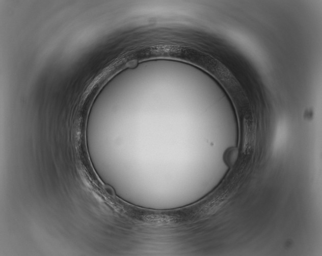 X0000116300435200912141339