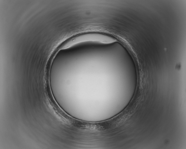 X0000116300439200912141339