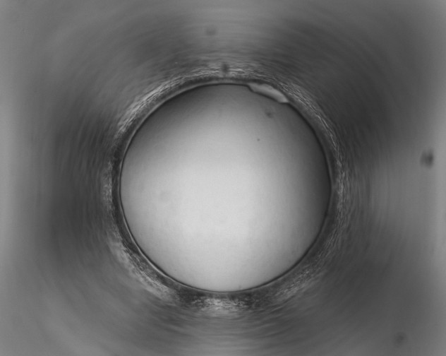 X0000116300442200912141339