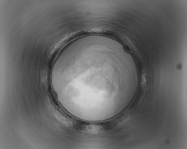 X0000116300444200912141339