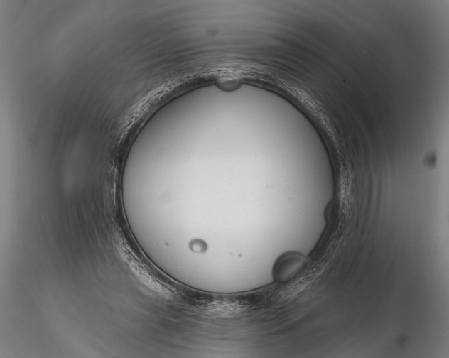 X0000116300445200912141339