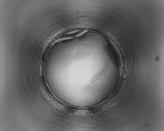 X0000116300446200912141339