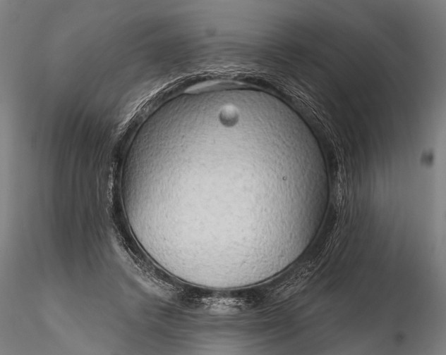 X0000116300448200912141339