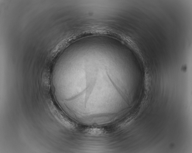 X0000116300449200912141339