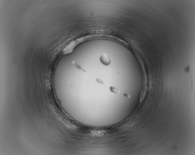 X0000116300450200912141339