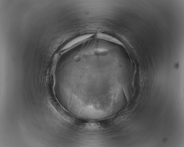 X0000116300451200912141339