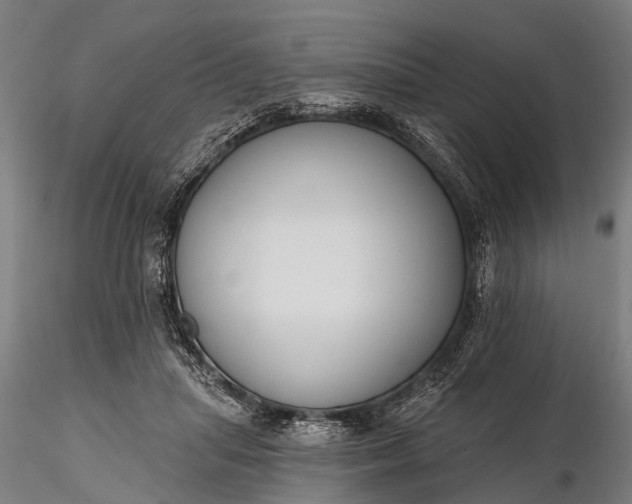 X0000116300455200912141339