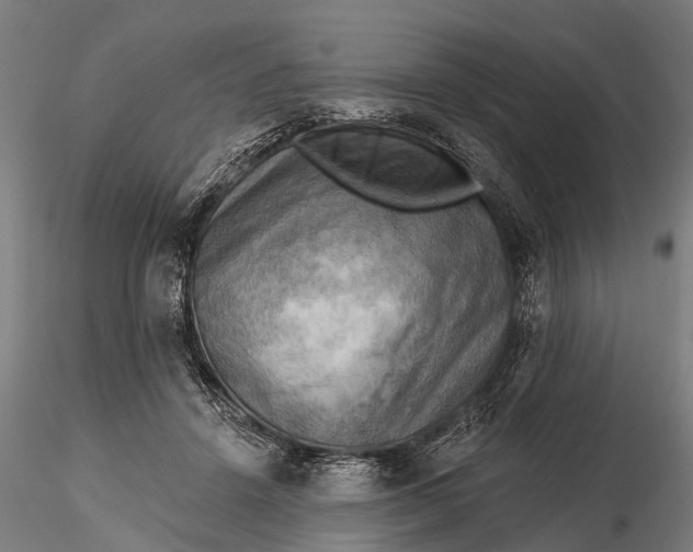 X0000116300456200912141339