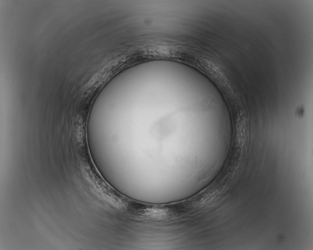 X0000116300457200912141339