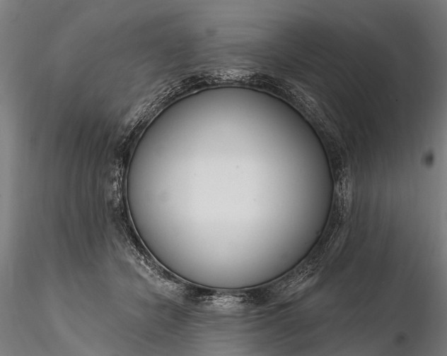 X0000116300462200912141339