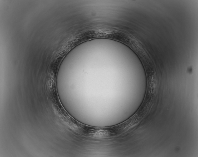 X0000116300463200912141339