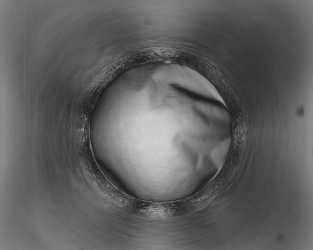 X0000116300464200912141339