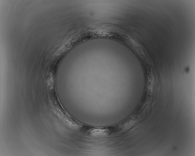 X0000116300465200912141339