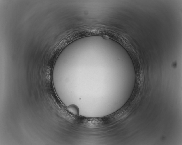 X0000116300466200912141339