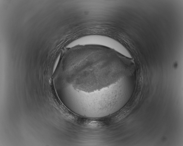 X0000116300467200912141339