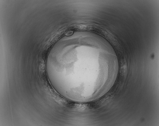 X0000116300469200912141339