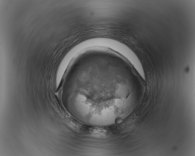 X0000116300471200912141339