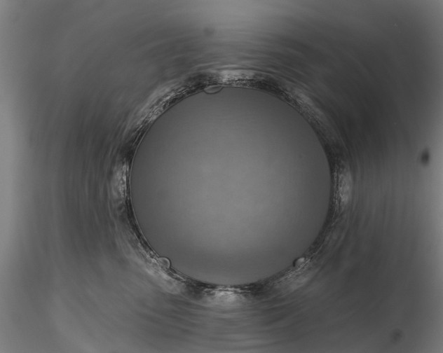 X0000116300475200912141339