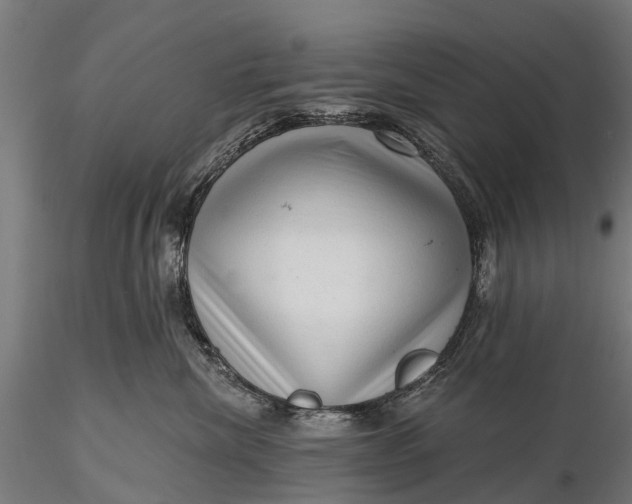 X0000116300476200912141339