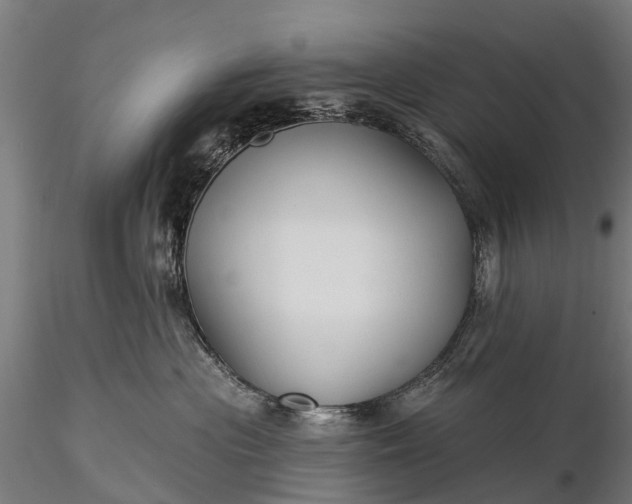 X0000116300477200912141339