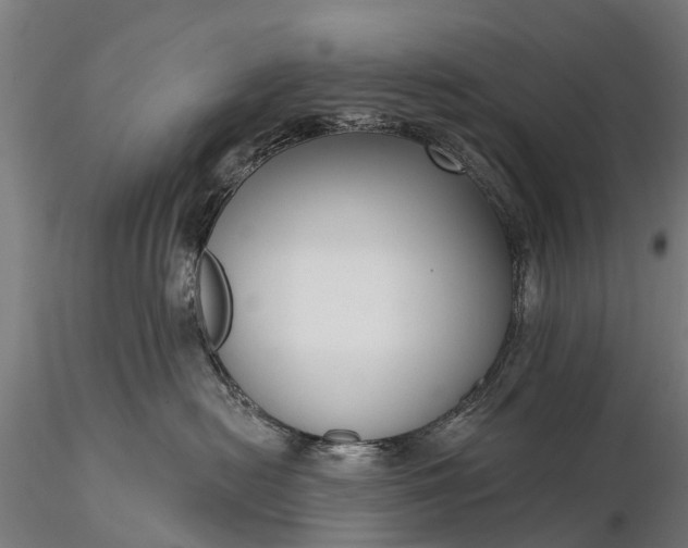 X0000116300478200912141339