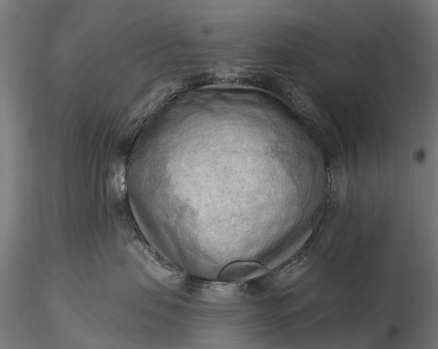 X0000116300479200912141339