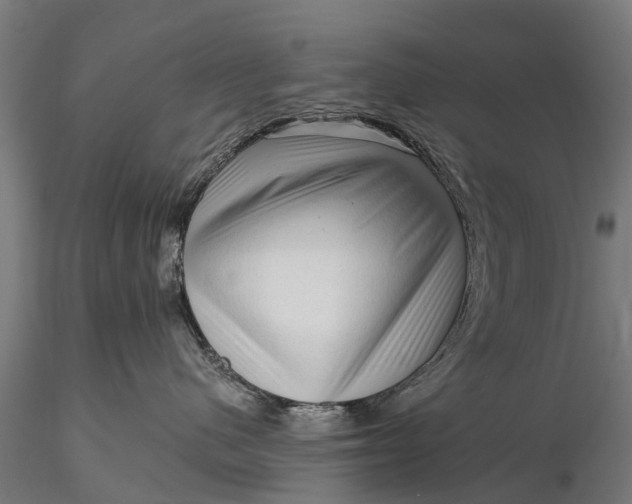 X0000116300480200912141339