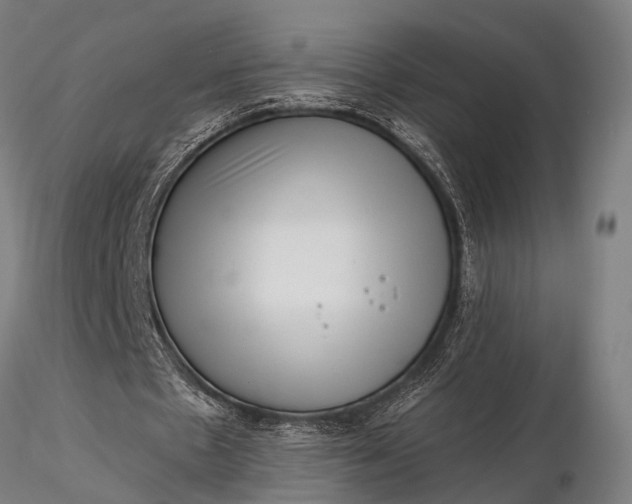 X0000116300481200912141339