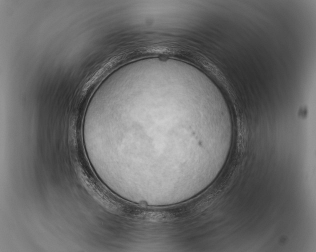 X0000116300482200912141339