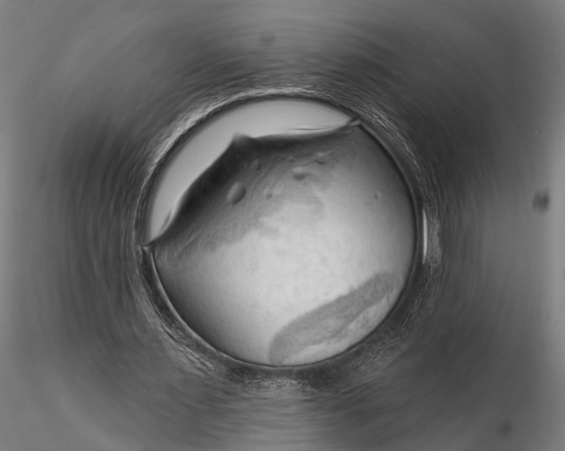 X0000116300483200912141339