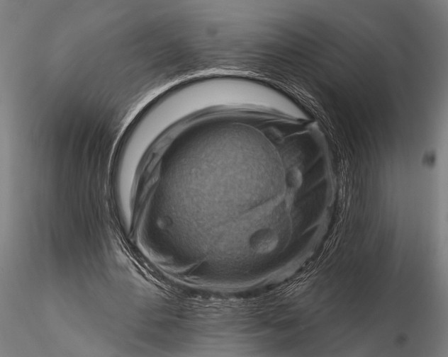 X0000116300484200912141339