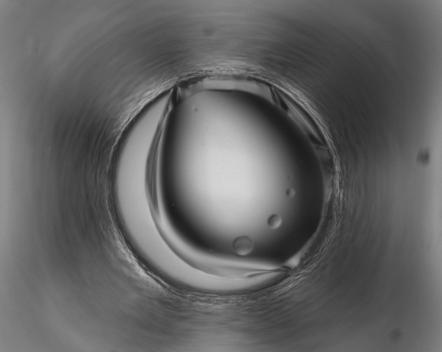 X0000116300485200912141339