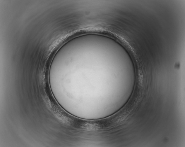 X0000116300487200912141338