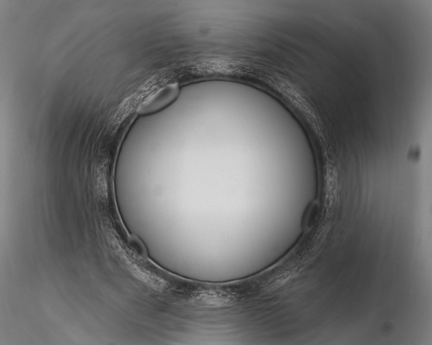 X0000116300489200912141338