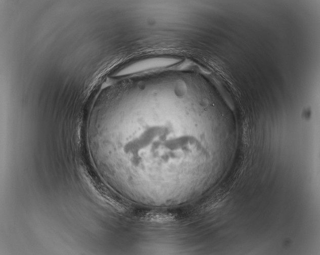 X0000116300491200912141338