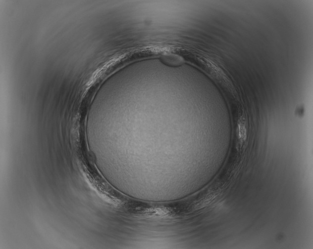 X0000116300492200912141338