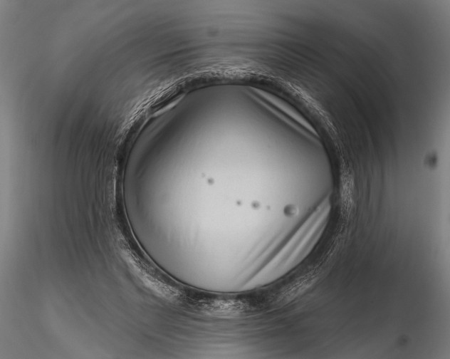 X0000116300493200912141338