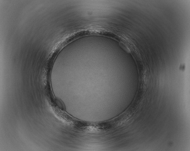 X0000116300496200912141338