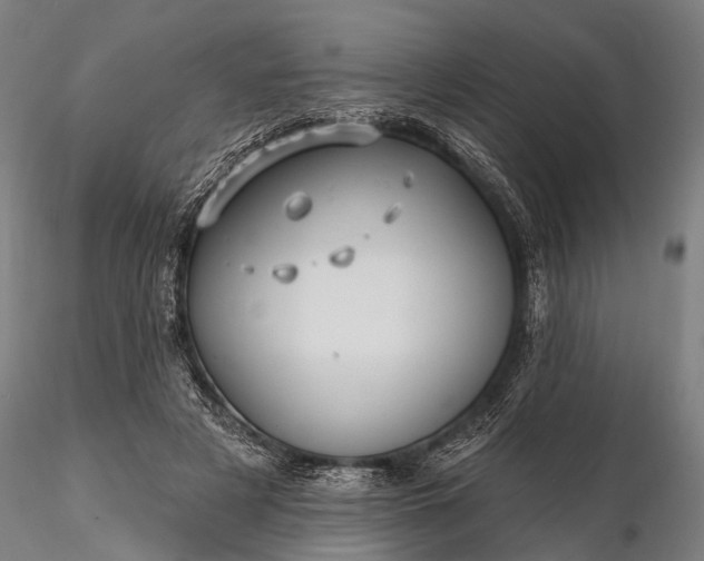 X0000116300497200912141338