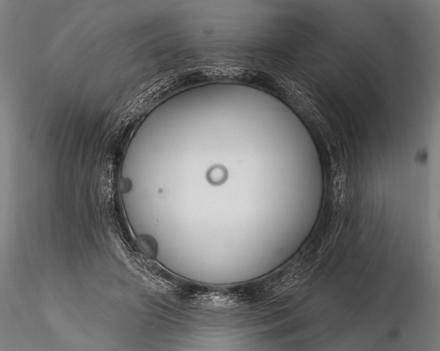 X0000116300498200912141338