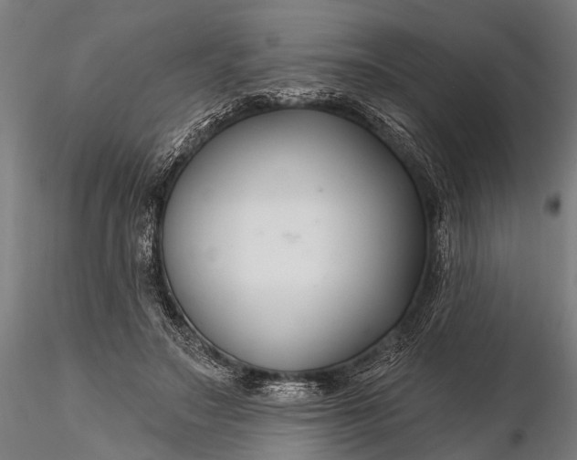 X0000116300499200912141338