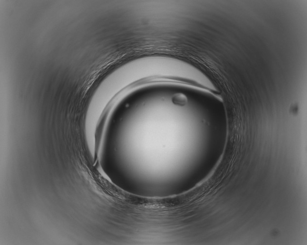 X0000116300500200912141338